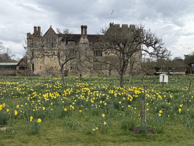 castle_18