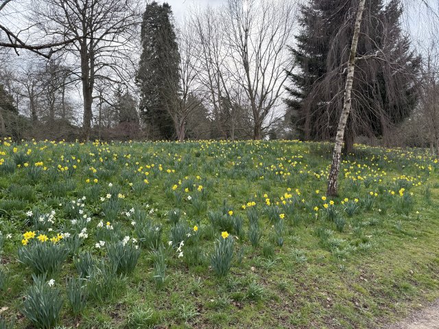garden_4