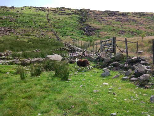 hardknott_pass_1_wm