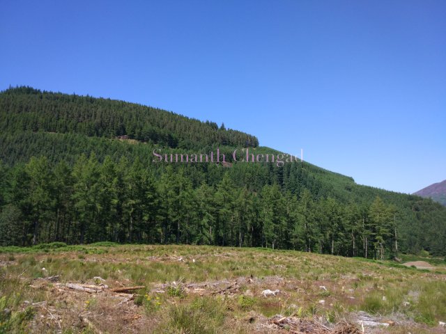 whinlatter_forest_1_wm