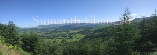 whinlatter_forest_3_wm