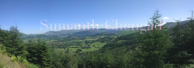 whinlatter_forest_3_wm