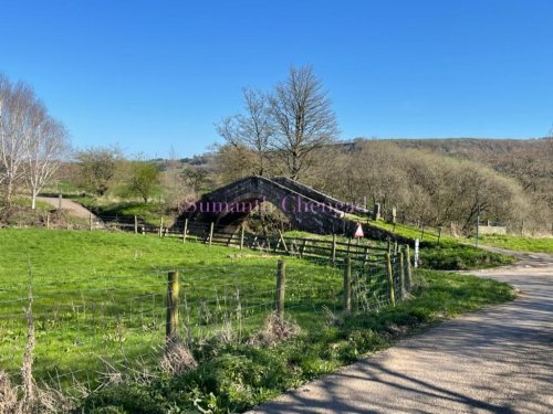 Duck Bridge