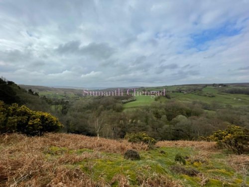View of the Moors, morning