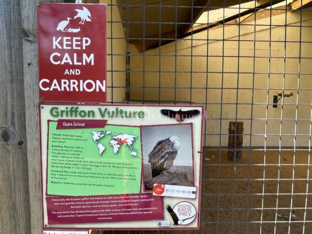 Keep Calm and Carrion!