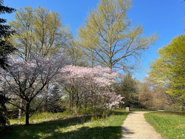 Yorkshire Arboretum
