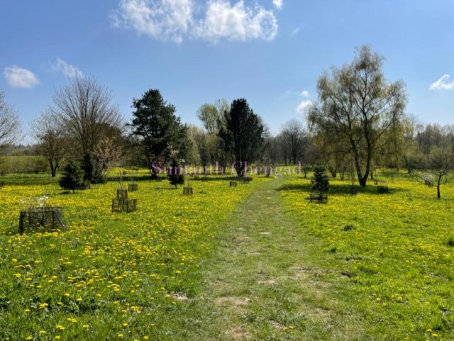 Yorkshire Arboretum