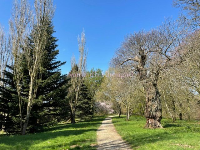Yorkshire Arboretum